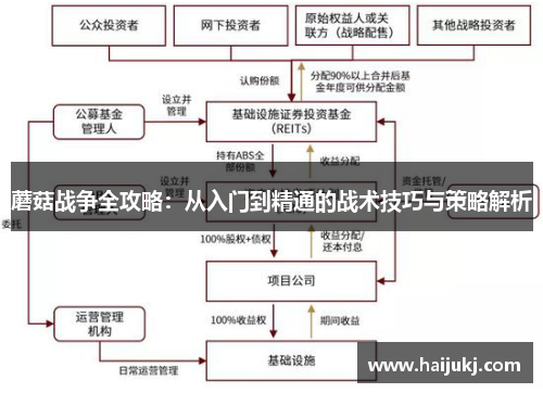 蘑菇战争全攻略：从入门到精通的战术技巧与策略解析